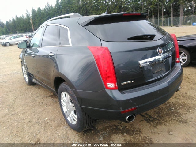 2010 CADILLAC SRX LUXURY COLLECTION VIN: 3GYFNDEY7AS508794