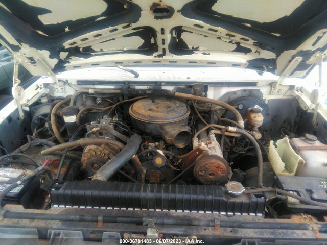 1989 FORD F250 VIN: 1FTHF25G6KPA08455