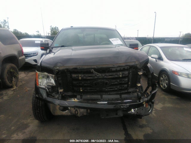 2009 FORD F-150 STX/XLT/XL VIN: 1FTRX14859FB06060