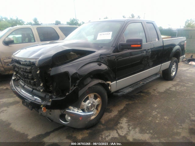 2009 FORD F-150 STX/XLT/XL VIN: 1FTRX14859FB06060