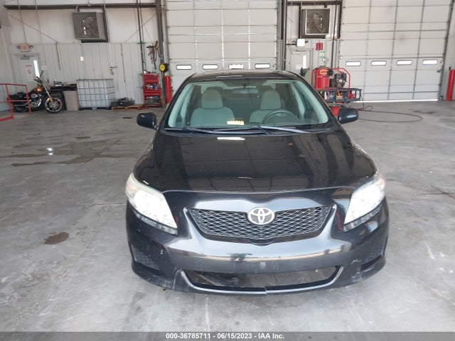 2010 TOYOTA COROLLA LE VIN: 2T1BU4EE2AC521690