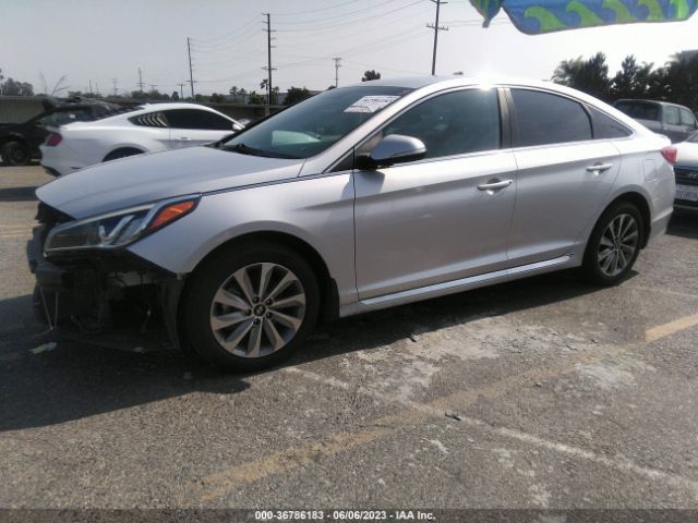 Hyundai Sonata 2.4l Sport 2016 5NPE34AF6GH391725 Image 2