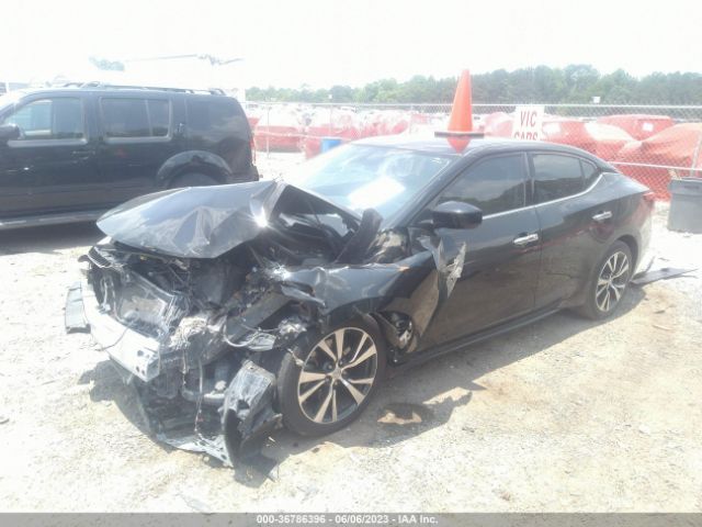 1N4AA6AP8HC367468 Nissan Maxima Sv/s/sl/sr/platinum