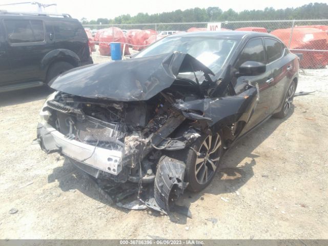 1N4AA6AP8HC367468 Nissan Maxima Sv/s/sl/sr/platinum