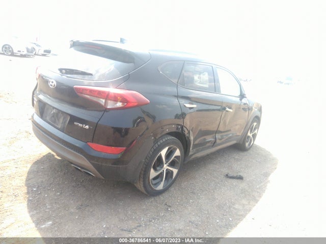 Hyundai Tucson Limited 2016 KM8J33A29GU066459 Image 5