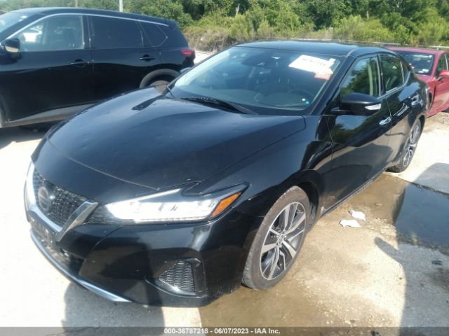 1N4AA6CV3LC369262 Nissan MAXIMA SV