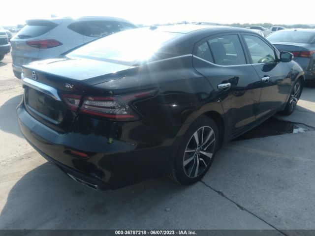 1N4AA6CV3LC369262 Nissan MAXIMA SV