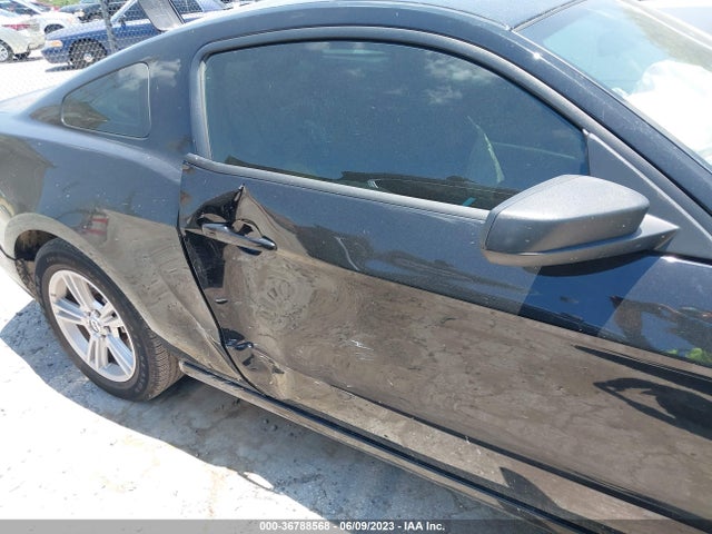 Ford Mustang V6 2014 1ZVBP8AM8E5326625 Image 14