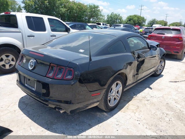 Ford Mustang V6 2014 1ZVBP8AM8E5326625 Image 4