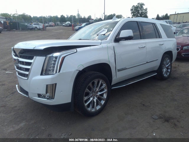 1GYS4BKJ6JR240255 Cadillac Escalade Luxury