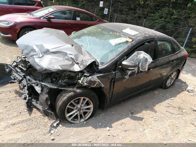 2015 FORD FOCUS SE VIN: 1FADP3F24FL295592