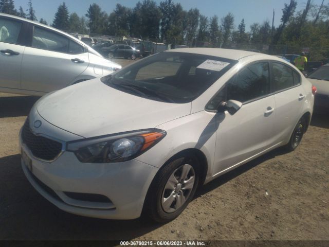 KNAFK4A69G5558762 KIA FORTE LX