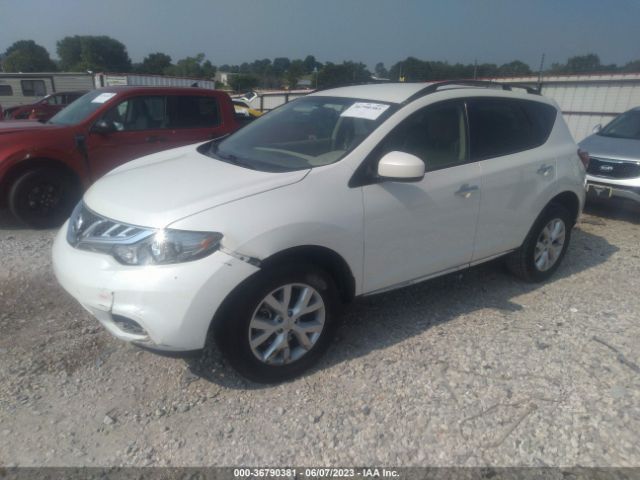 JN8AZ1MU6EW413515 Nissan MURANO SV