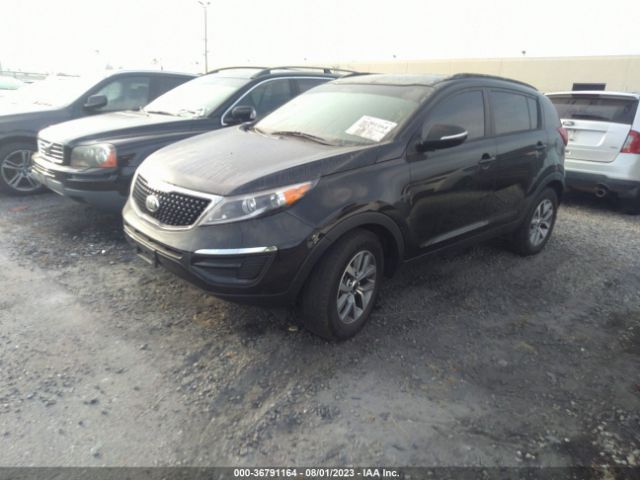 KNDPB3AC1E7581428 KIA Sportage Lx