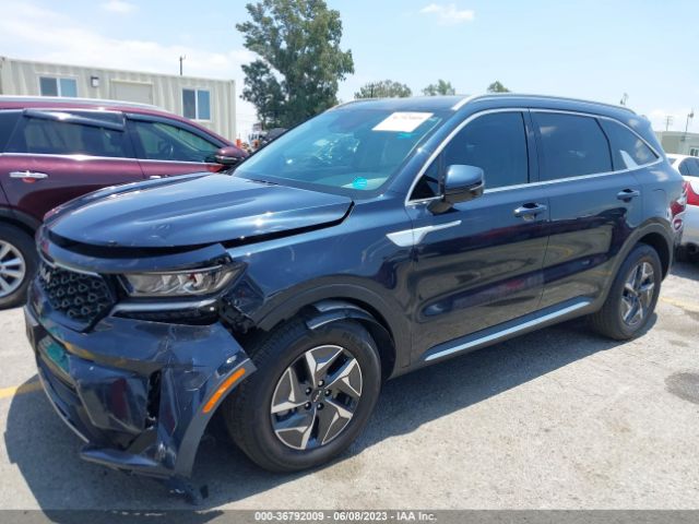 KNDRG4LG6N5120396 KIA Sorento Hybrid S