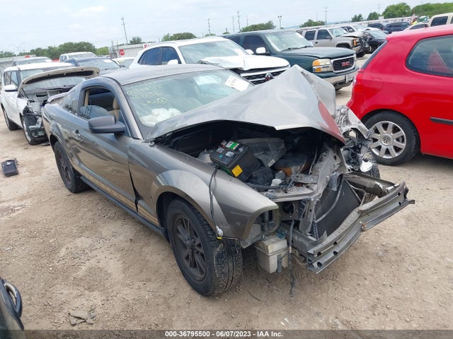 2005 FORD MUSTANG DELUXE/PREMIUM VIN: 1ZVFT80N955167136
