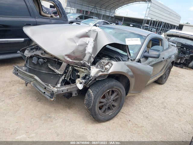 2005 FORD MUSTANG DELUXE/PREMIUM VIN: 1ZVFT80N955167136