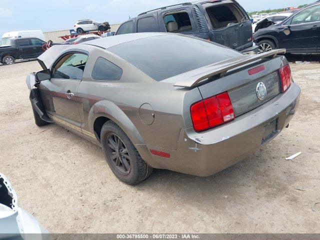 2005 FORD MUSTANG DELUXE/PREMIUM VIN: 1ZVFT80N955167136