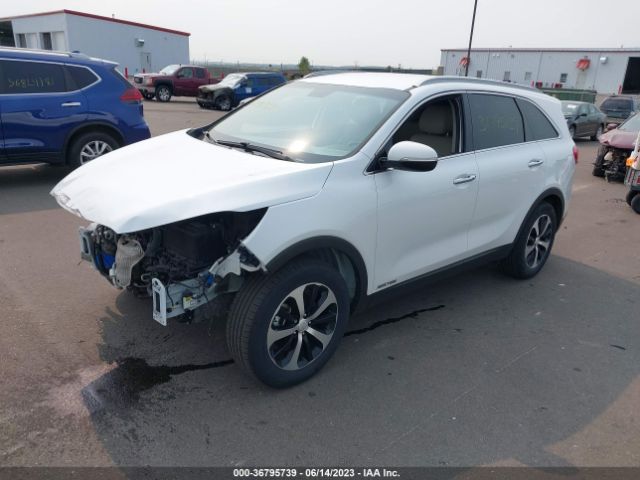 5XYPHDA55GG104125 KIA SORENTO EX