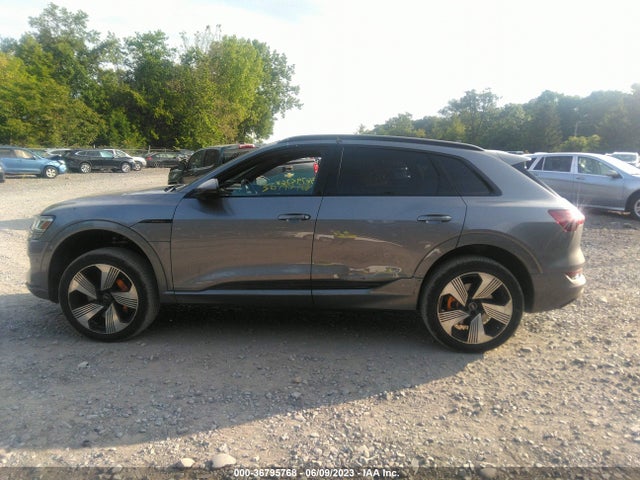 2022 Audi e-tron, VIN: WA1LAAGE5NB010319