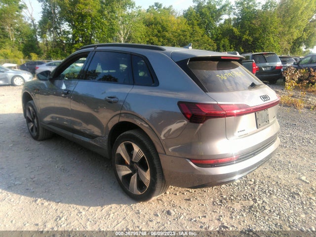 2022 Audi e-tron, VIN: WA1LAAGE5NB010319