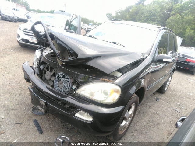2002 MERCEDES-BENZ M-CLASS VIN: 4JGAB54E72A348663