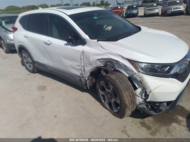 Honda Cr-v Ex-l 2019 7FARW1H84KE026342 Image 6
