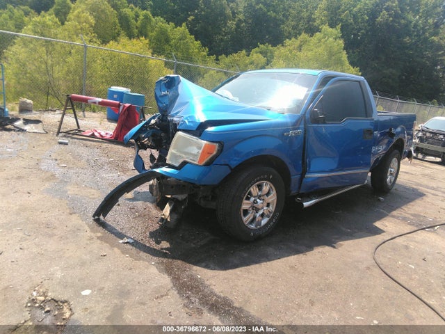 2011 FORD F-150 XL/STX/XLT VIN: 1FTEX1CM0BFC85000