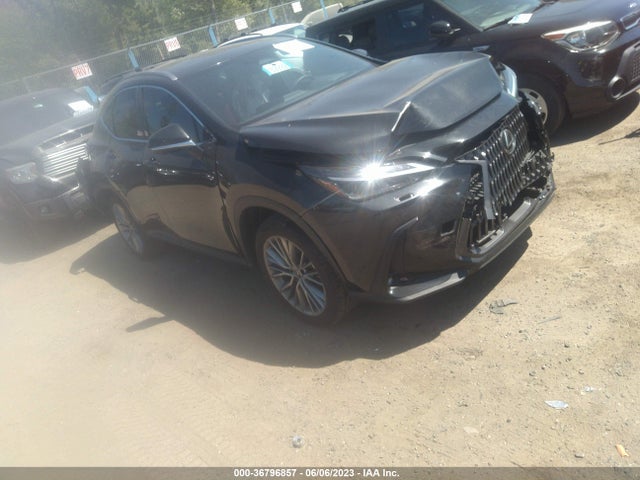 2022 Lexus NX, VIN: JTJHKCEZ2N5004130