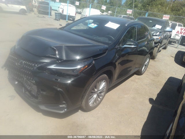 2022 Lexus NX, VIN: JTJHKCEZ2N5004130