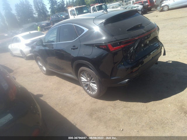 2022 Lexus NX, VIN: JTJHKCEZ2N5004130