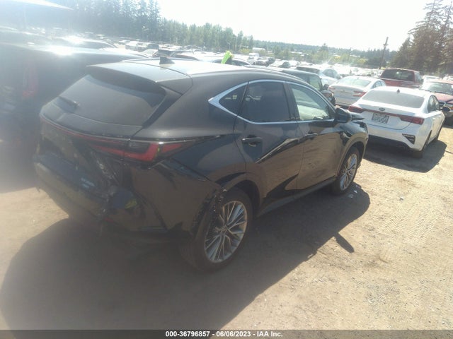 2022 Lexus NX, VIN: JTJHKCEZ2N5004130