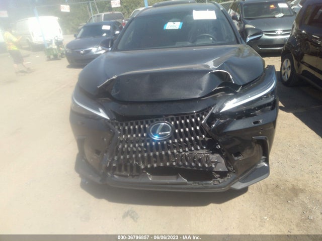 2022 Lexus NX, VIN: JTJHKCEZ2N5004130