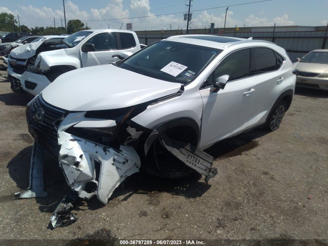 2018 Lexus NX, VIN: JTJYARBZ4J2104610