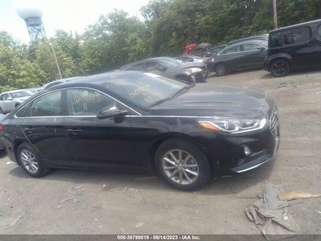2019 HYUNDAI SONATA SE/SEL VIN: 5NPE24AF2KH803201