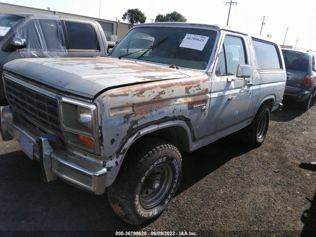 1981 FORD BRONCO U10 VIN: 1FMEU15F6BLA49276