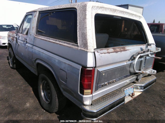 1981 FORD BRONCO U10 VIN: 1FMEU15F6BLA49276