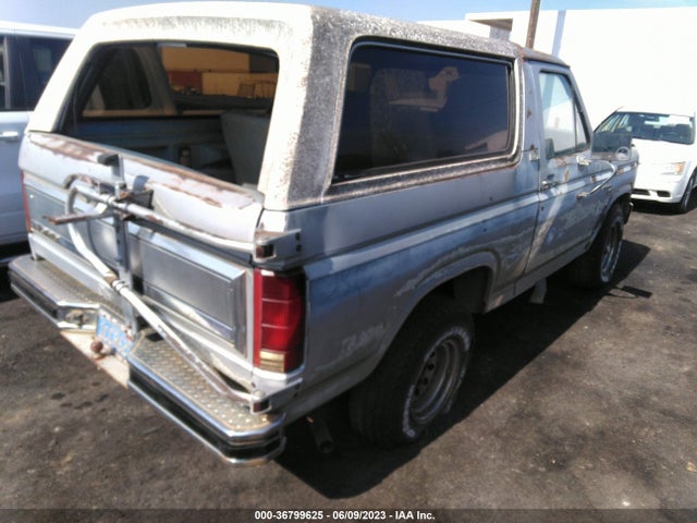 1981 FORD BRONCO U10 VIN: 1FMEU15F6BLA49276