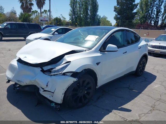 Tesla Model Y Long Range 2021 5YJYGDEE9MF274976 Image 2