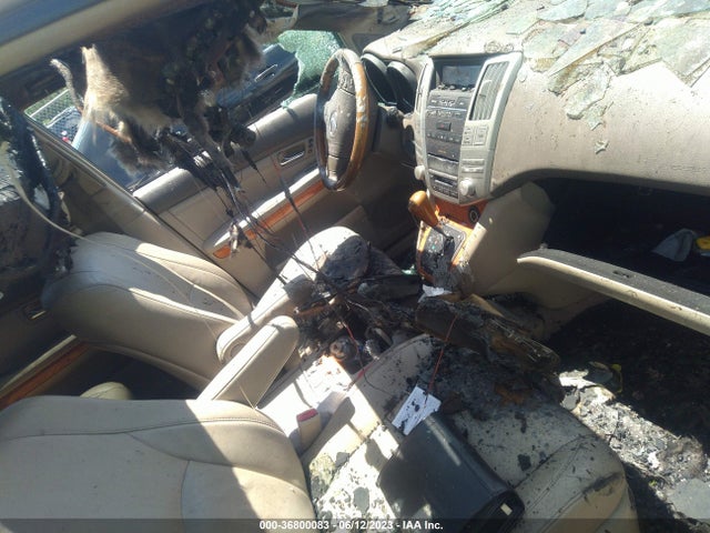 2006 LEXUS RX 330 VIN: 2T2GA31U76C053139