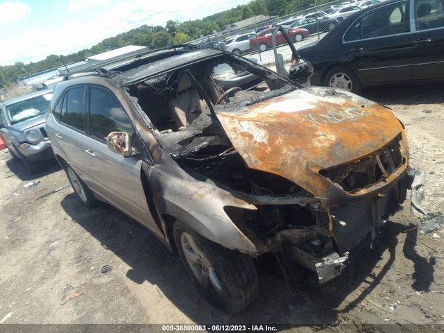 2006 LEXUS RX 330 VIN: 2T2GA31U76C053139