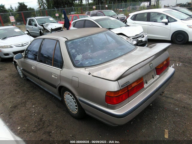1991 HONDA ACCORD LX/EX VIN: 1HGCB7655MA191693