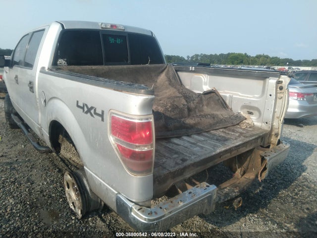 2009 FORD F-150 XL/XLT VIN: 1FTRW14849FB39148