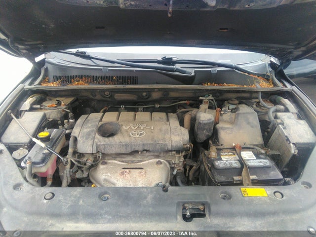 2009 TOYOTA RAV4 VIN: JTMBF33V29D004444