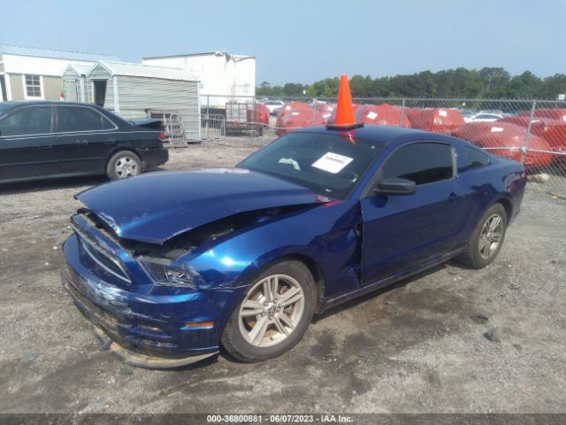 1ZVBP8AM7E5273027 Ford Mustang V6