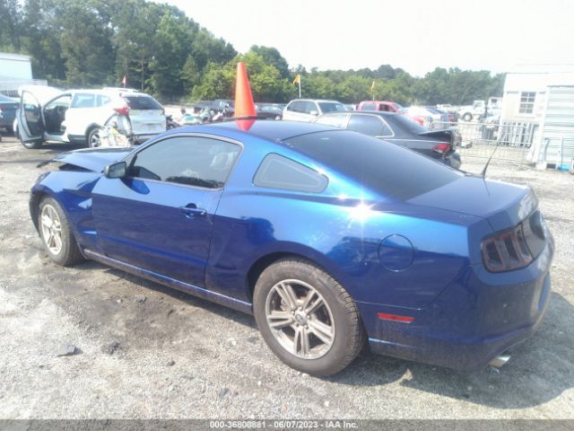 1ZVBP8AM7E5273027 Ford Mustang V6