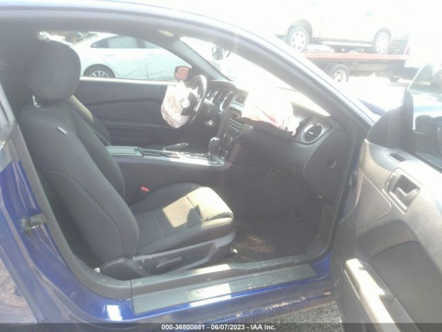 1ZVBP8AM7E5273027 Ford Mustang V6