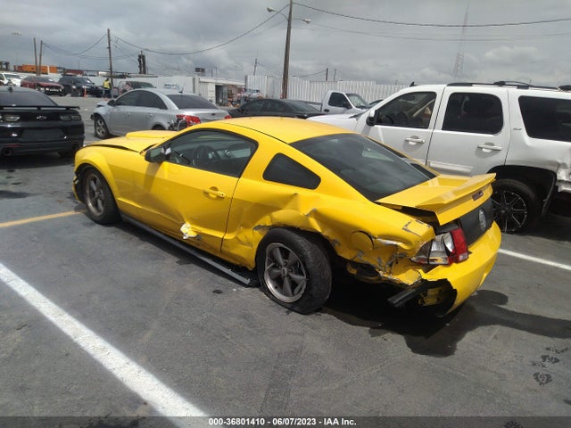 2005 FORD MUSTANG DELUXE/PREMIUM VIN: 1ZVFT80N855239010
