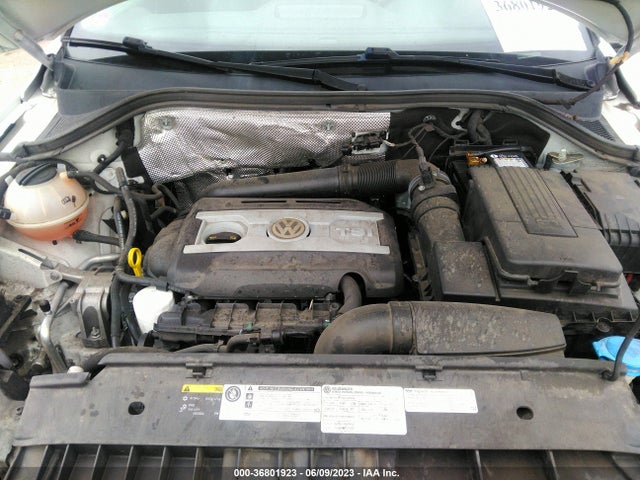 WVGAV7AX7GW598486 Volkswagen TIGUAN S