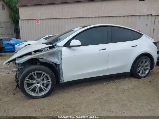 5YJYGDEE0MF274445 Tesla Model Y Long Range